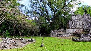 antigo local maia com templo ruínas pirâmides artefatos muyil méxico.