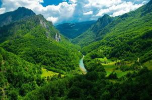 Mountain range and forests of Tara river gorge canyon, Montenegro photo