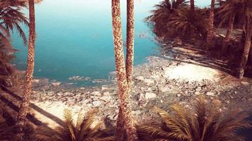 ralm de repolho roxo e falésias de arenito escarpadas refletidas na água