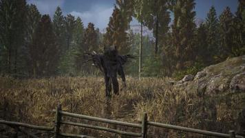 terrible scarecrow in dark cloak and dirty hat stands alone in autumn field video