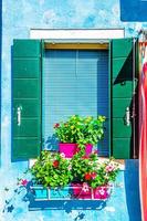 Green window with shutter and decorative flowers in pot photo