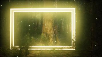 cadre rectangle lumineux au néon dans la forêt de nuit video