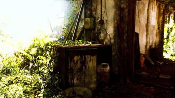 ruined abandoned overgrown by plants interior video