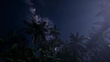 4k astro de la galaxia de la vía láctea sobre la selva tropical. video