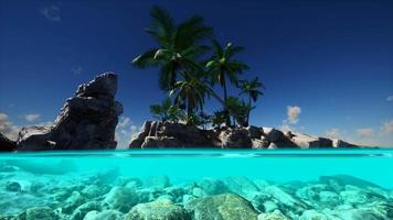 vue fractionnée de l'eau de mer et des palmiers sur l'île