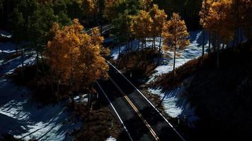 aerial view of snowy forest with a road video
