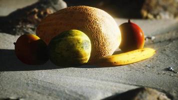 melone del deserto sulla spiaggia di sabbia video