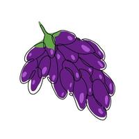 ilustración vectorial dibujada a mano de uvas en estilo de línea única continua. linda ilustración de fruta sobre un fondo blanco. vector