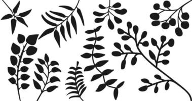 leaves black silhouettes set on white background vector illustration