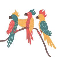 Three exotic parrots set sitting on brunches. Tropical birds and parrot collection vector illustration