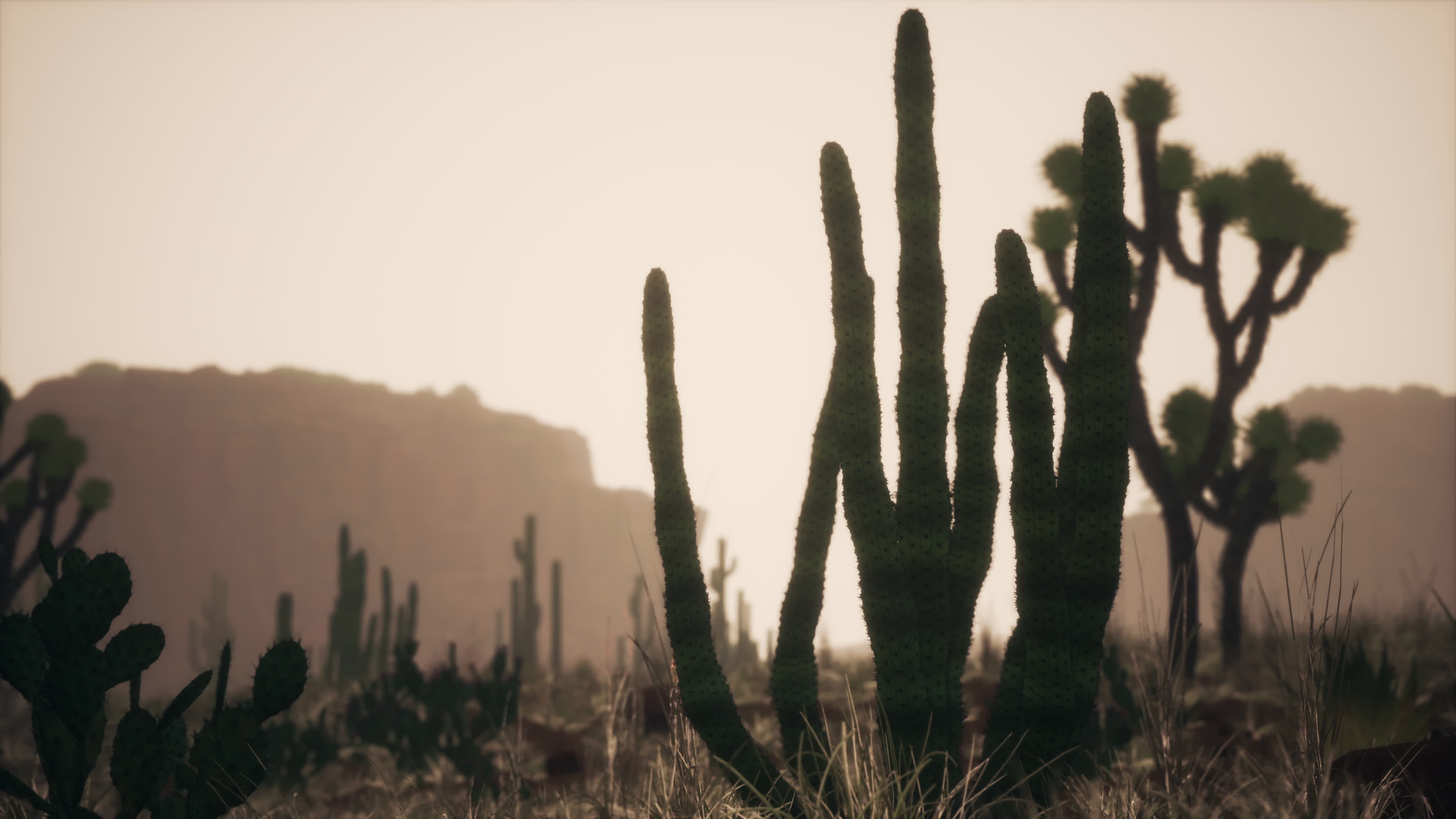 sunlight ray shooting across the desert sky at sunset 6112743 Stock ...