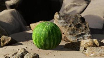 pastèque fraîche sur une belle plage de sable video