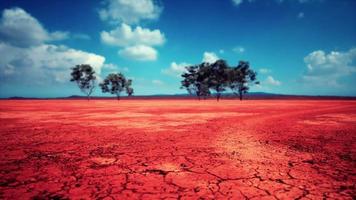 illa sprucken jord under en gassande sol video