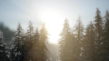espectacular amanecer de invierno en las montañas video