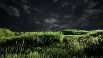 nuvens de tempestade acima do prado com grama verde video