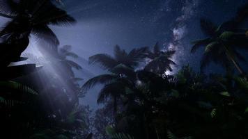 Astro 4k della Via Lattea sopra la foresta pluviale tropicale. video