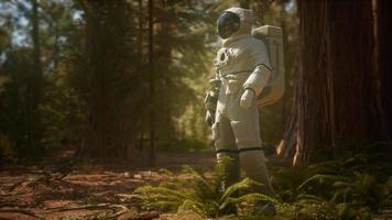 astronaute solitaire dans la forêt sombre video