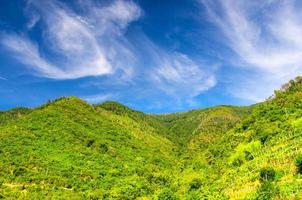 Green hills with vineyard bushes and trees, blue sky with transparent white clouds copy space background photo