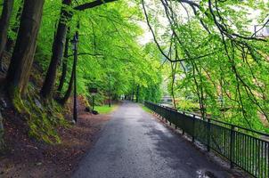 Paseo del terraplén del río Tepla con callejón de árboles y luces de la calle en Karlovy Vary foto