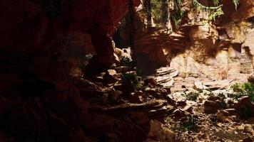 vista de dentro de uma caverna escura com plantas verdes e luz na saída video