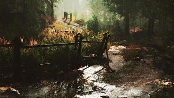 Landscape with wooden fence grassy meadow and path video