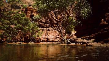 rayos brillantes del sol reflejados en el agua fría del río colorado video