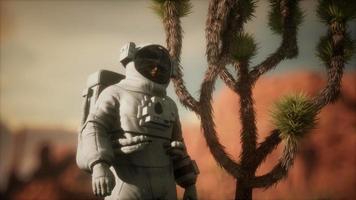 astronaut in de hoge woestijn van Nevada video