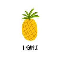 Isolated vector illustration of pineapple on a white background. Clipart for the children's food directory