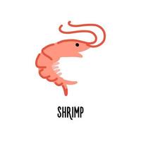 Shrimp icon in flat style isolated on white background. Vector illustration.