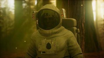 lonely Astronaut in dark forest video