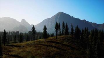 vue aérienne sur la chaîne de montagnes avec forêt de pins en bavière video