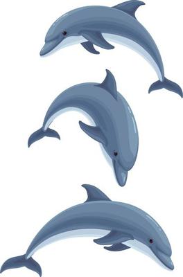 Dolphin.Sea life.Sea animals, illustration element.