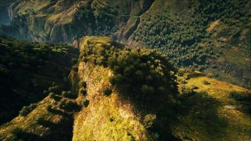 tropical forest in morning view of highland Malaysia video