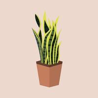 Hand Drawn Potted Houseplant in Flat Illustration vector
