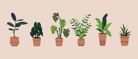 grupo de plantas de interior en macetas planas dibujadas a mano ilustración vector