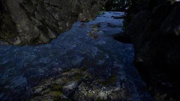 Milky Way Galaxy over Sandstone Canyon Walls video