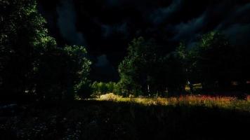 Thunderstorm clouds with lightning in green meadow video