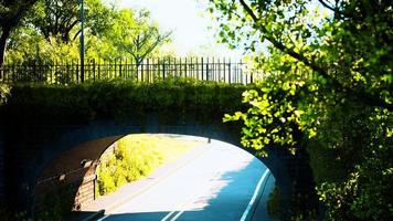 ponte ad arco con rami di cespuglio vivente nel parco video