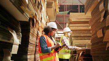 Afro-Amerikaanse vrouwelijke werknemer in een veiligheidsuniform en helm en mannelijke collega inspecteren opslag, voorraadorder in fabrieksmagazijn, stapels stapelpapierfabricage, industrieel productbeheer.