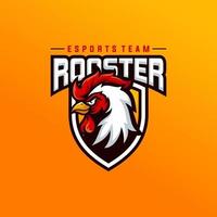 Rooster mascot sport logo design Vector illustration