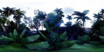VR360 Camera Moving in a Tropical Jungle Rainforest video