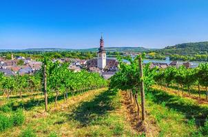 vista aérea de los viñedos de la región vinícola de rheingau, rudesheim am rhein centro histórico de la ciudad con st. iglesia de jakobus foto