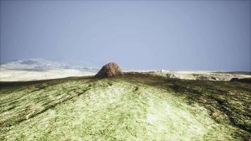 piedra de arena grande y fondo de colina de hierba verde video