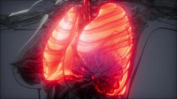 examen de radiología de pulmones humanos video