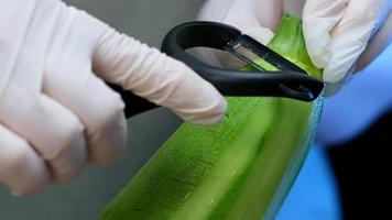 professionell kock i vita handskar skalar grön zucchini med specialskalare under elektriskt ljus slow motion extrem närbild video
