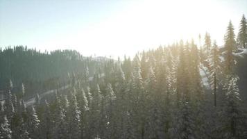 colorido amanecer de invierno en las montañas video