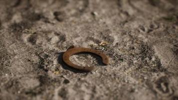 one old rusty metal horseshoe