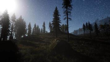 Milky Way Stars with Moonlight video