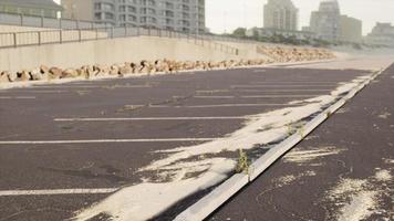 parking sur la plage en californie video