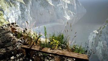 frisches gras an der großen felsenklippe im ozean video